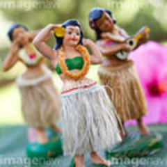 土曜日フラレッスン☆無料体験レッスン実施中♪サンライズスタジオ☆江古田