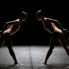 Noism1『NINA−物質化する生け贄』