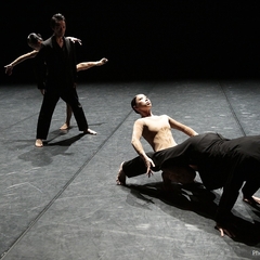 Noism1『NINA−物質化する生け贄』