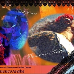 ベリーダンサーの為のフラメンコWS