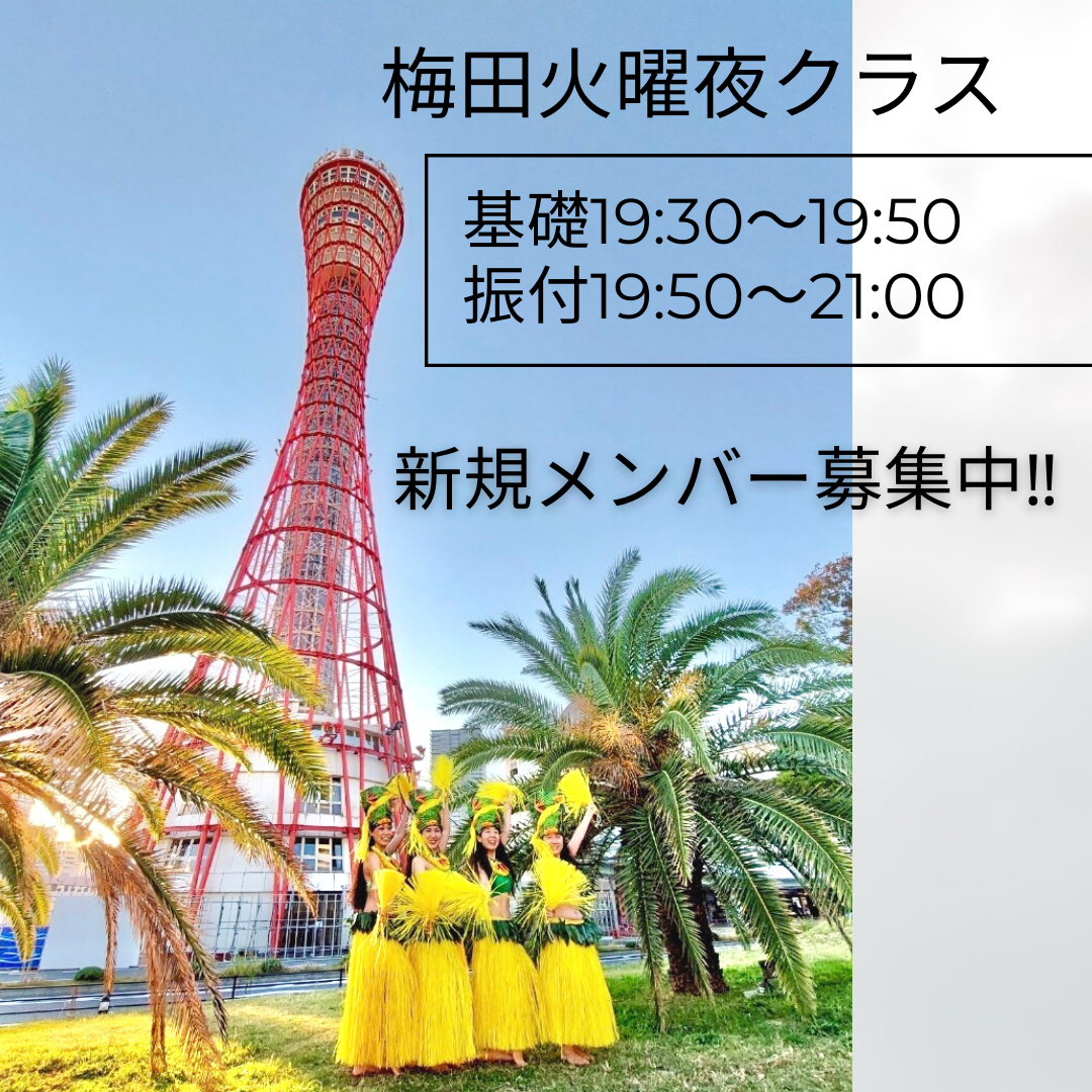 梅田梅田タヒチアン 火曜基礎クラス
